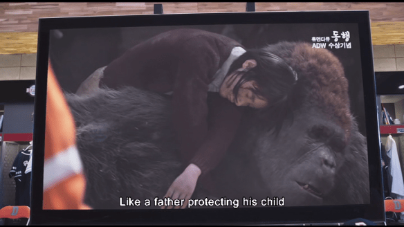 vlcsnap-2014-07-14-16h56m58s248