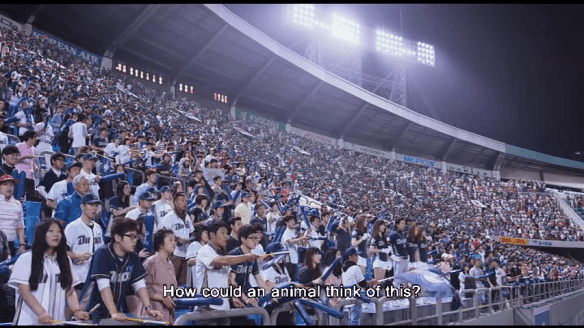 vlcsnap-2014-07-14-17h17m52s242