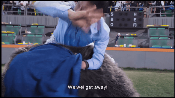 vlcsnap-2014-07-14-17h33m14s250