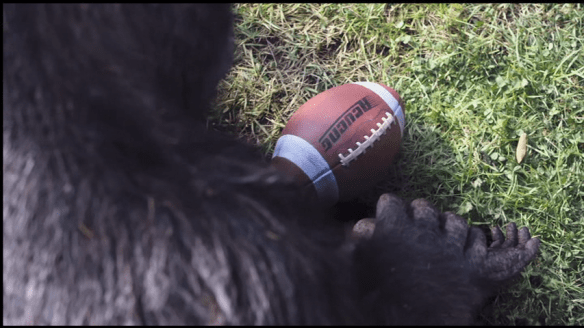 vlcsnap-2014-07-14-17h59m32s145