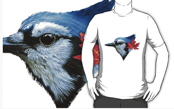 Screen Shot 2015-10-03 at 12.31.39 PM