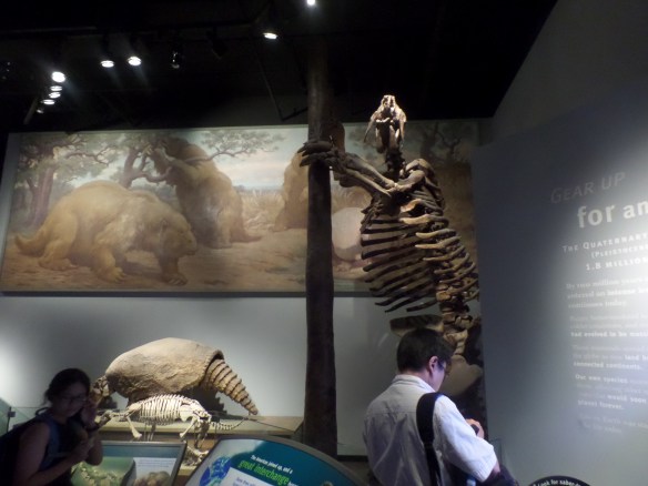 Ancient Sloth